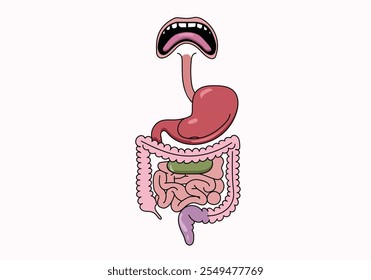  desenho de um sistema digestivo humano mostrando vários órgãos envolvidos na digestão