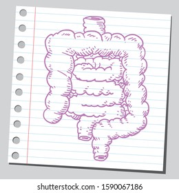 Sketch of a human guts.