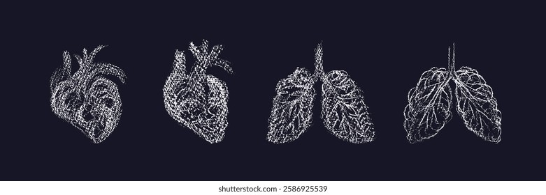 Sketch of human heart, doodle lungs. Medicine and health, disease prevention with x-ray and ultrasound. Vector grungy scribble set. Hand drawn abstract art sign of isolate from side view