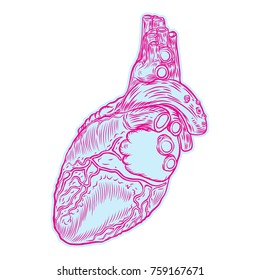 Sketch of human heart. Hand drawn anatomical boho style drawing for print, t-shirt, card, poster. Contemporary patch element, sticker. Vector.