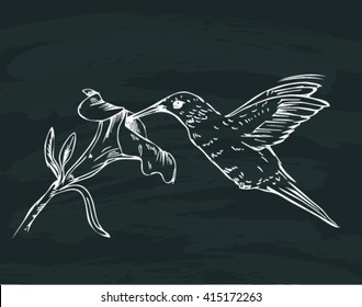 Sketch of Hummingbird