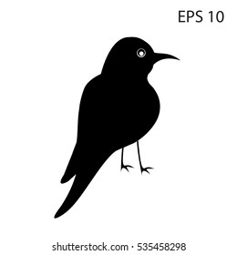 sketch hummingbirds meropidae colibri isolated on a white background vector