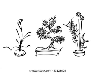 sketch of ikebana and bonsai, vector