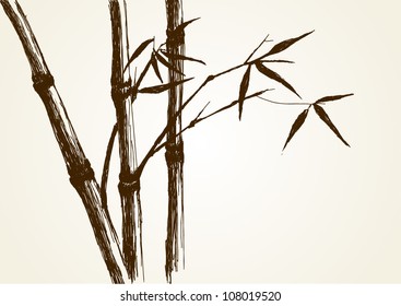 Sketch illustration of bamboo tree