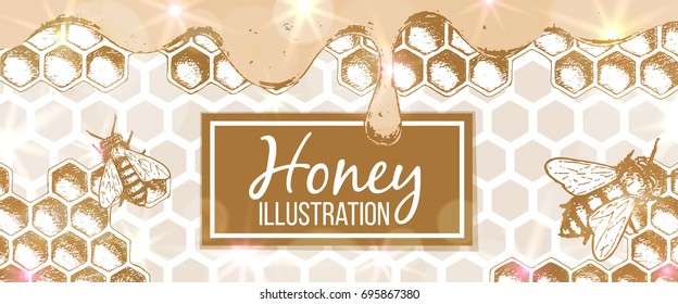 Sketch illustration, banner of honey organic nature product. Vector