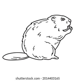 Sketch illustration of a beaver in Doodle style