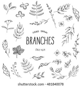 Sketch Illustration Branches Stock Vector (Royalty Free) 481840078 ...