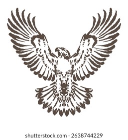 sketch illustration of an eagle spreading its wings elegantly with a unique depiction