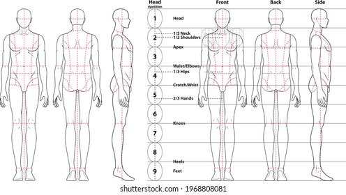 sketch illustration of a Fashion figure of male body - vector man or boy illustration with 9 heads proportion