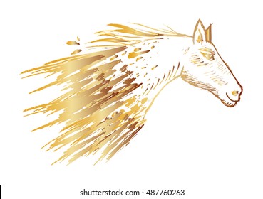 Sketch illustration of horse head.