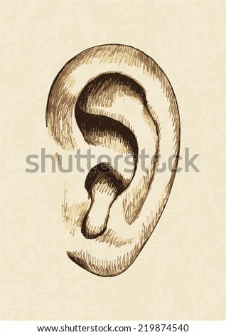 Sketch illustration of human ear