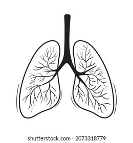 Sketch illustration of lungs. Hand drawn vector of respiratory system. Black outline doodle element of human organ