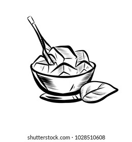 Sketch Illustration of Mint Leaf and Ice Bowl. Hand Drawn Icon on White Background