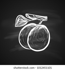 Sketch Illustration of Plums Fruitful. Hand Drawn Icon on Blackboard