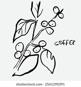 
sketch illustration of Robusta Arabica coffee in ink on digital paper for poster design, packaging, labels, stickers, cafes, restaurants, menus, art prints, paper walls, fabric patterns and promotion