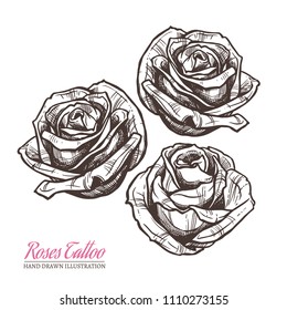 Sketch illustration of roses. Vector hand drawn tattoo design elements