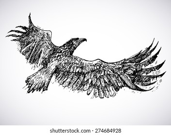 Sketch illustration of soaring eagle. Drawn by hand. Vector format