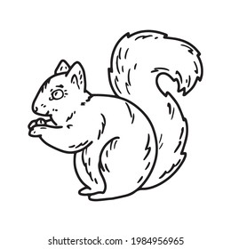 Sketch illustration of a squirrel with a nut in the Doodle style