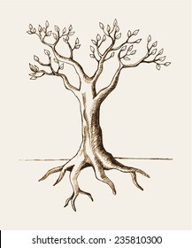 Sketch illustration of a tree