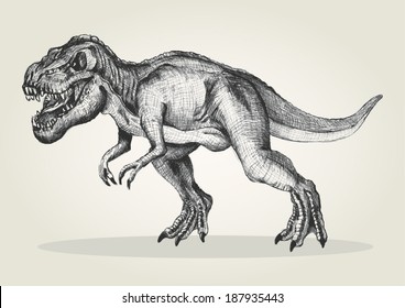 Sketch illustration of a tyrannosaurus rex