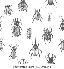 Sketch illustration of a vector bugs. Ornament with bugs.