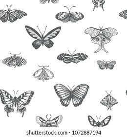 Sketch illustration of a vector butterfly. Ornament with butterflies