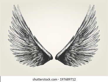 Sketch illustration of wings
