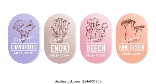 Sketch  illustrations of various edible mushrooms, label design set