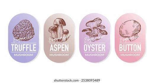 Sketch  illustrations of various mushrooms, label design set