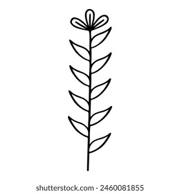 Sketch image of a flower. Vector illustration. Black and white.