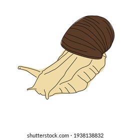 Esbozar imagen de un caracol. Dibujo de línea