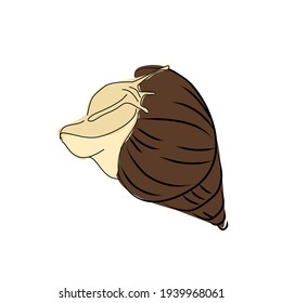 Sketch image of a snail. Line drawing
