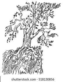 Sketch ink bare tree with roots isolated on a white background. Vector illustration.