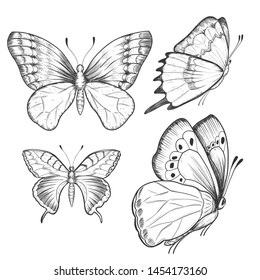 Sketch Ink Graphic Butterflies Set Illustration, Draft Silhouette Drawing, Black On White Line Art. Vintage Etching Nature Design.