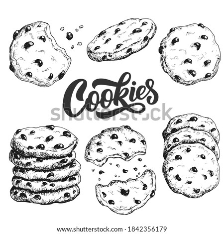 Sketch ink graphic cookies set illustration, draft silhouette drawing, black on white line art. Delicious vintage etching food design.