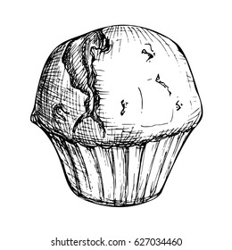 Sketch ink graphic muffin illustration, draft silhouette drawing, black on white background. Delicious vintage etching food design.