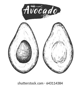 Sketch ink vintage avocado cut illustration, draft silhouette drawing, black isolated on white background. Food graphic etching design.