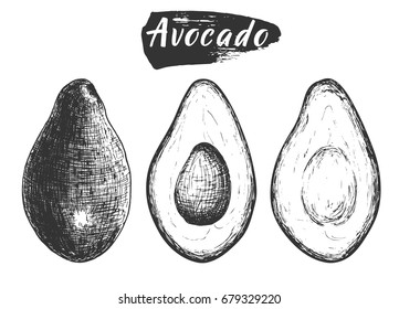 Sketch ink vintage avocado set, full fruit an cuts illustration, draft silhouette drawing, black isolated on white background. Food graphic etching design.