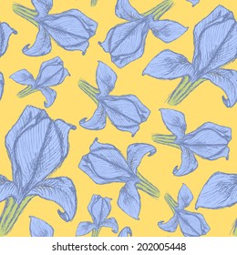 Sketch iris, vector vintage seamless pattern eps 10
