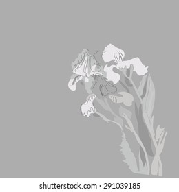 Sketch of irises, stripes, spots,branches, flowers, copy space. Hand drawn. Sketch from life.