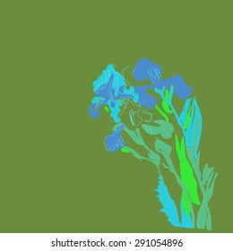Sketch of irises, stripes, spots,branches, flowers, copy space. Hand drawn. Sketch from life.