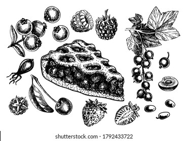 Sketch isolated slice of berry pie. Hand drawn illustration home bake on white background. Different types of berries for the pie. Strawberries, raspberries, currants, cherries, blueberries sketch