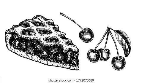 Sketch isolated slice of cherry pie. Hand drawn illustration home bake on white background. Berry pie. 