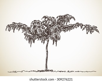 Sketch of Isolated tree, Hand drawn Vector illustration