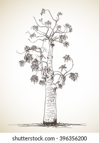 Esbozo de árbol aislado, ilustración dibujada a mano