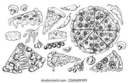 Sketch of italian pizza slices and ingredients. Italian fast food. Pizza pepperoni, salami, mushroom. Illustration for menu. Engraved style. Hand drawn camembert, basil, cherry tomato, olive. Top view