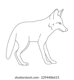Sketch of Jackal drawn by hand. Vector hand drawn illustration.