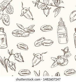 Sketch of jojoba elements. Hand drawn doodle set. Vector illustration. Isolated elements on white background. Symbol collection.