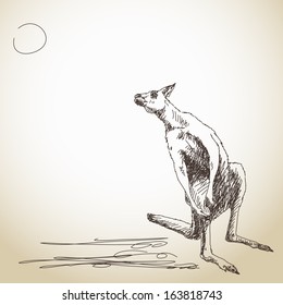 Sketch of kangaroo Vector