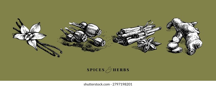 Sketch kitchen herbs and spices. Sticker collage collectio. Hand drawn vintage isolated vector illustrations. 